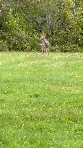 Lot Keith Rd, Havelock, NB 