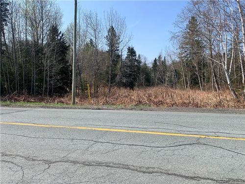 Lot Vacant Route 134, New Mills, NB 