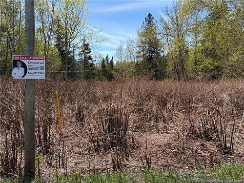 Lot Vacant Route 134, New Mills, NB 