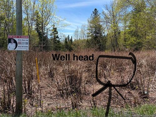 Lot Vacant Route 134, New Mills, NB 
