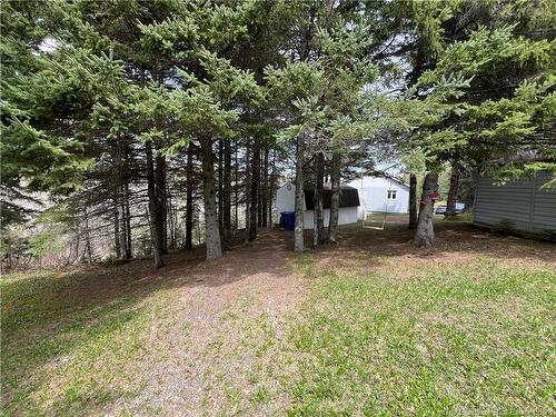 16 Boschert Rd, Saint-Quentin, NB 