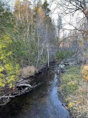 1050 Rivière À La Truite, Rivière-À-La-Truite, NB 