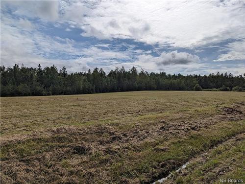 1050 Rivière À La Truite, Rivière-À-La-Truite, NB 