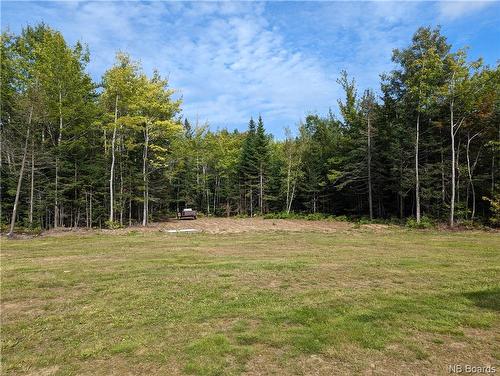 1050 Rivière À La Truite, Rivière-À-La-Truite, NB 