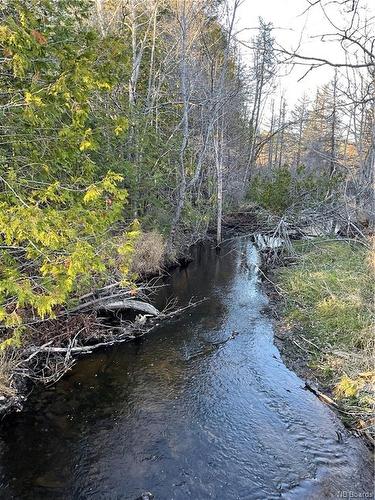 1050 Rivière À La Truite, Rivière-À-La-Truite, NB 