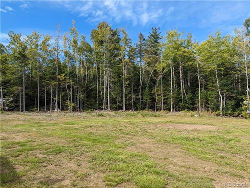 1050 Rivière À La Truite, Rivière-À-La-Truite, NB 