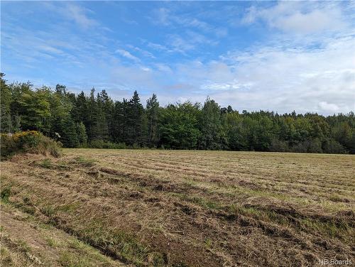 1050 Rivière À La Truite, Rivière-À-La-Truite, NB 