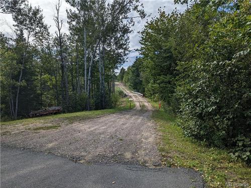 1050 Rivière À La Truite, Rivière-À-La-Truite, NB 