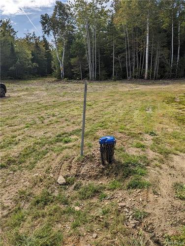 1050 Rivière À La Truite, Rivière-À-La-Truite, NB 