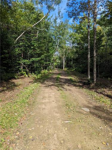 1050 Rivière À La Truite, Rivière-À-La-Truite, NB 