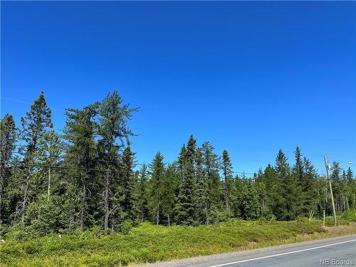 +/- 6.5 Acres Rte 126, Collette, NB 