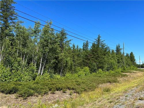 +/- 6.5 Acres Rte 126, Collette, NB 