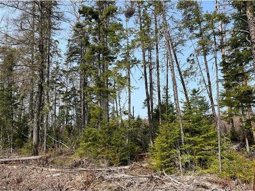 Lot 01 Beaverbrook Rd, Miramichi, NB 