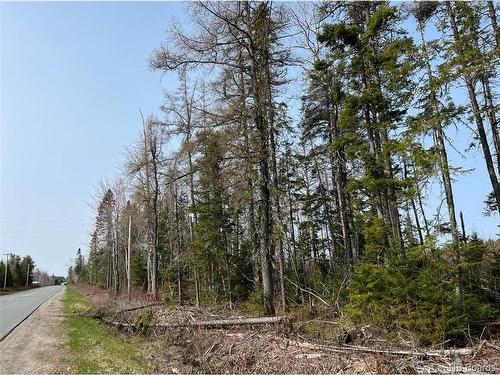 Lot 01 Beaverbrook Rd, Miramichi, NB 