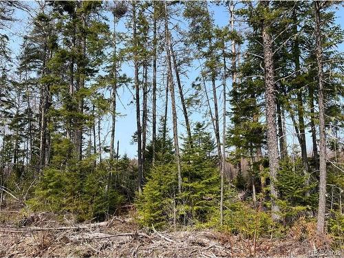 Lot 01 Beaverbrook Rd, Miramichi, NB 