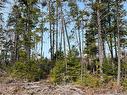 Lot 01 Beaverbrook Rd, Miramichi, NB 