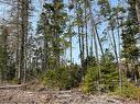 Lot 04 Beaverbrook Rd, Miramichi, NB 