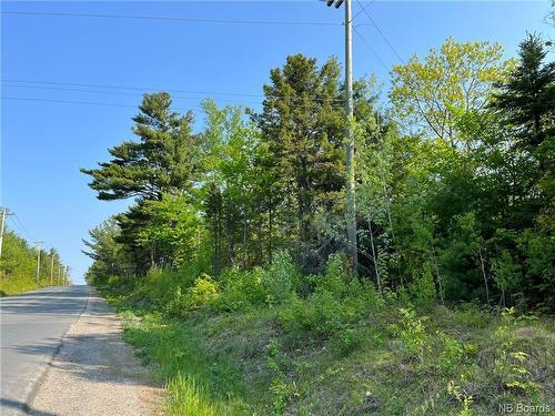 +/- 30 Acres Hansen Rd, Miramichi, NB 