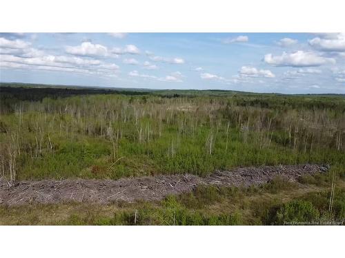 Lot 9 Tobin Rd, Elmwood, NB 