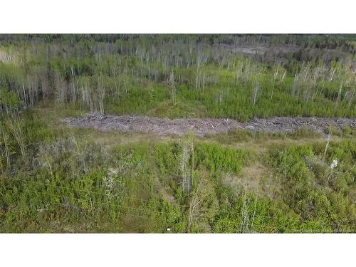 Lot 9 Tobin Rd, Elmwood, NB 