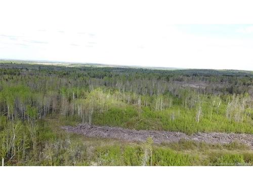 Lot 9 Tobin Rd, Elmwood, NB 