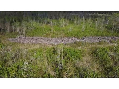 Lot 9 Tobin Rd, Elmwood, NB 