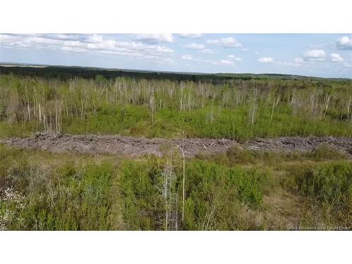 Lot 9 Tobin Rd, Elmwood, NB 