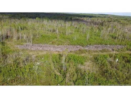 Lot 9 Tobin Rd, Elmwood, NB 