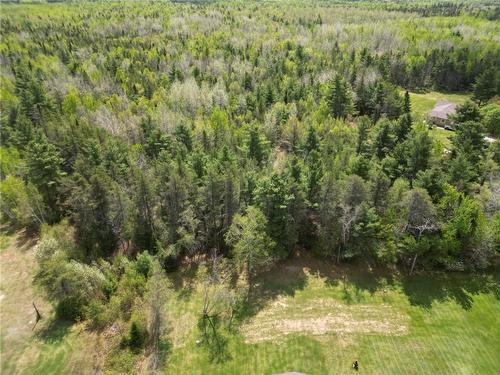 Lot 97-1 Des Pins, Saint-Charles, NB 