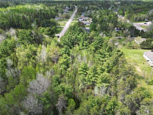 Lot 97-1 Des Pins, Saint-Charles, NB 