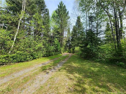 - Deschenes Rd, Sainte-Anne-De-Madawaska, NB 