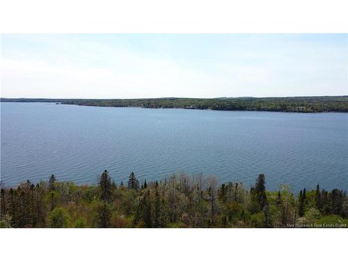 - Bantry Bay Farm, Bayside, NB 