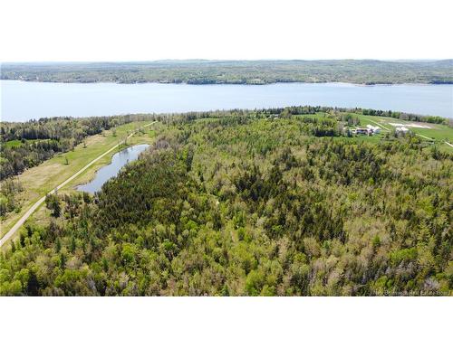 - Bantry Bay Farm, Bayside, NB 