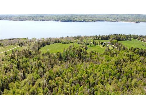 - Bantry Bay Farm, Bayside, NB 