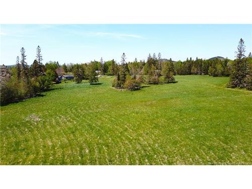 - Bantry Bay Farm, Bayside, NB 