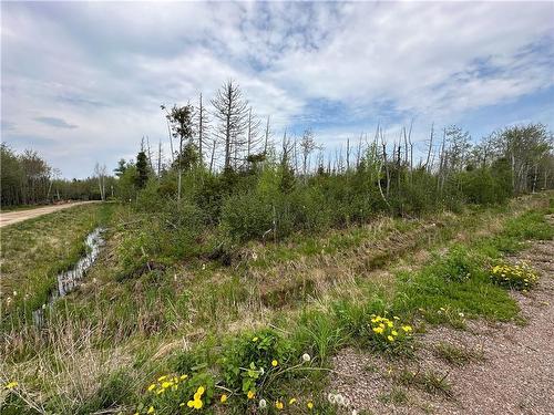 Lot 75-11 Gite, Grand-Barachois, NB 