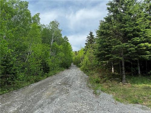 0 De L'Église Rd, Lac Baker, NB 