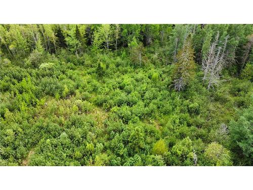 Lot Saint-Athanase, Rogersville, NB 