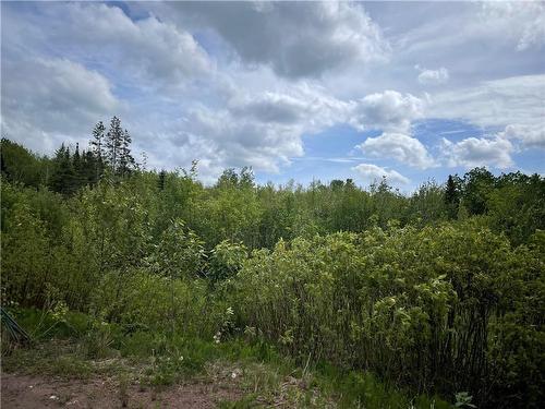 Lot Saint-Athanase, Rogersville, NB 