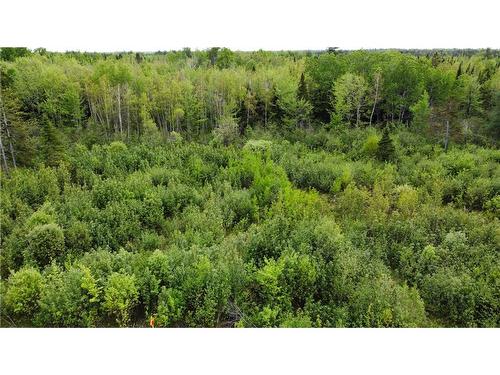 Lot Saint-Athanase, Rogersville, NB 