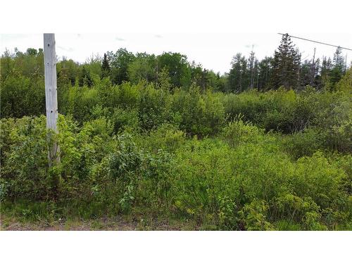 Lot Saint-Athanase, Rogersville, NB 