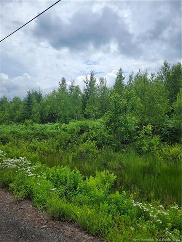 Lot 6 Route 10, Cumberland Bay, NB 