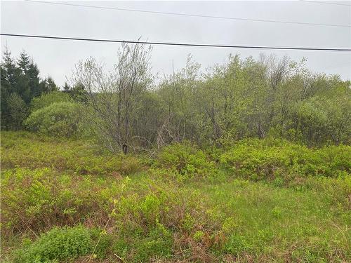 Lot Will Rogers Rd, Moncton, NB 