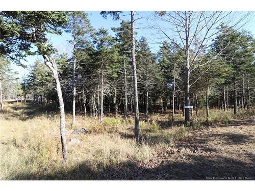 Lot 10-05 Golden Mile Dr, Grand Manan, NB 