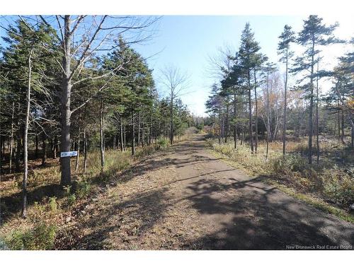 Lot 10-05 Golden Mile Dr, Grand Manan, NB 