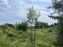 2.47 Acres Main St, Blackville, NB 