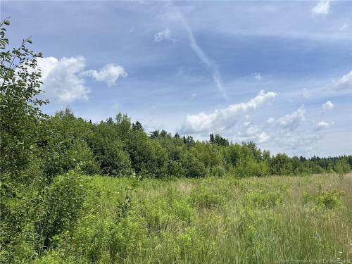 2.47 Acres Main St, Blackville, NB 