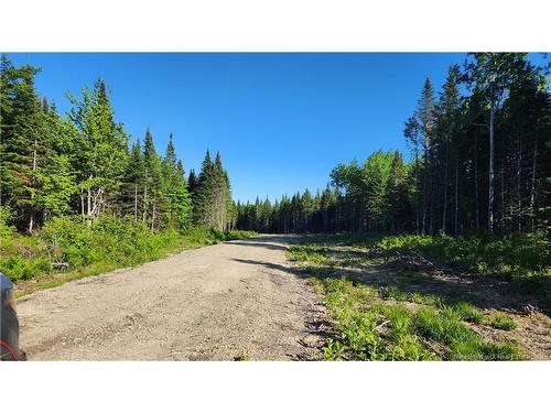 Lot2022-9 Church River Rd, Lavillette, NB 