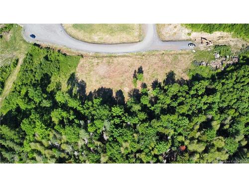 Lot 12-09 Riverview Dr, Lower Prince William, NB 