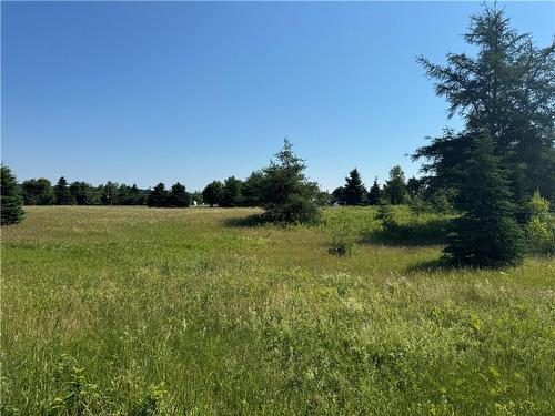 Vacant Lot Gray Rd, Saint-Ignace, NB 